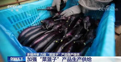 农业农村部多举措力促蔬菜肉蛋奶等“菜篮子”产品稳产保供