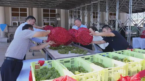 天津食品集团所属王朝公司天夏酒庄 一期 项目竣工并正式投产